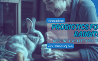 Probiotics for Rabbits: Keeping Your Pet Healthy
