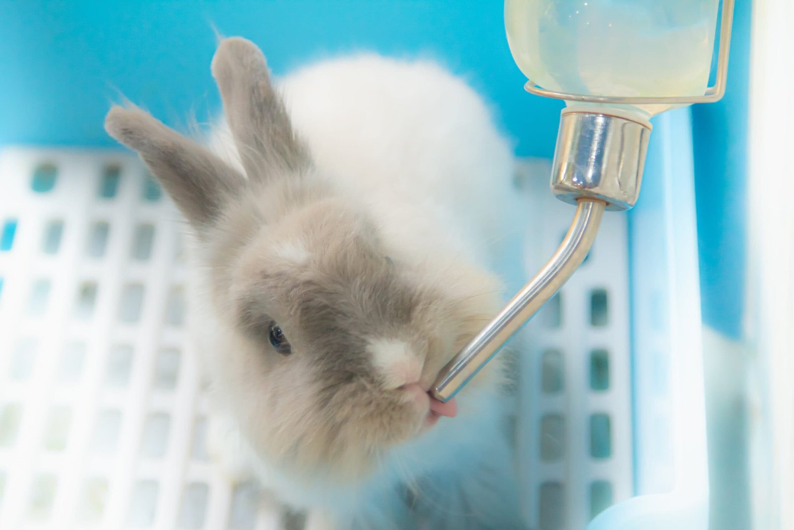 Practical Tips for Encouraging Water Consumption