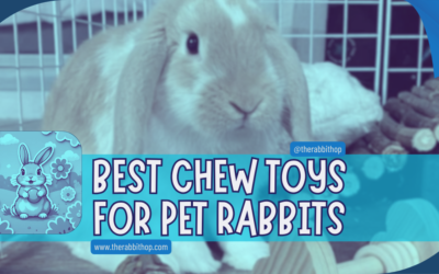 Best Chew Toys for Pet Rabbits