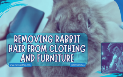 Removing Rabbit Hair From Clothing and Furniture