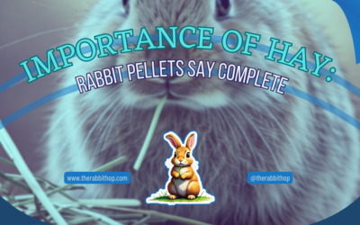 Importance of Hay: Rabbit Pellets Say Complete