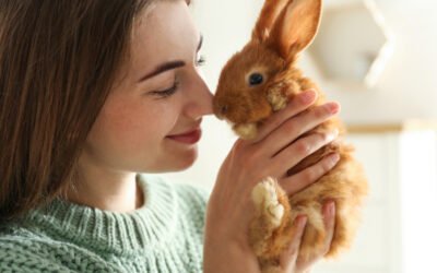 7 Small Rabbit Breeds that Make Great Pets: Perfect Fluffy Friends for Apartment Living
